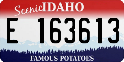 ID license plate E163613