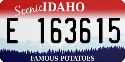 ID license plate E163615