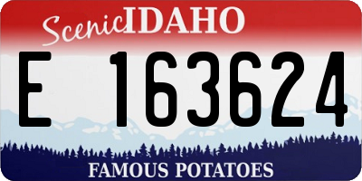 ID license plate E163624