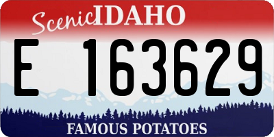 ID license plate E163629