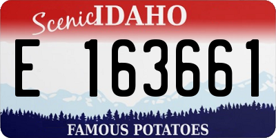 ID license plate E163661