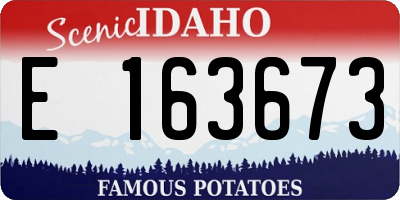 ID license plate E163673