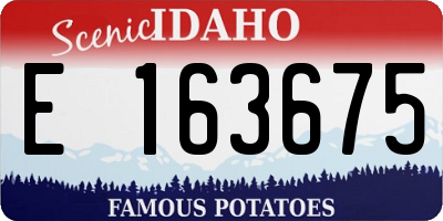ID license plate E163675