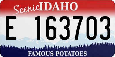 ID license plate E163703