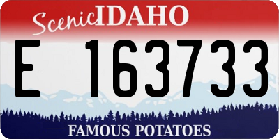 ID license plate E163733