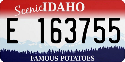 ID license plate E163755