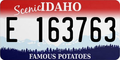 ID license plate E163763