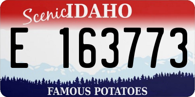 ID license plate E163773