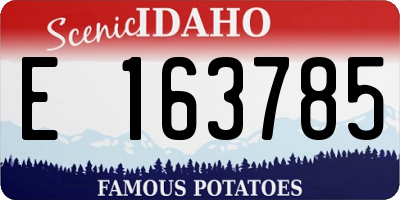 ID license plate E163785