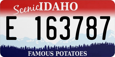 ID license plate E163787