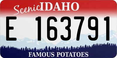 ID license plate E163791
