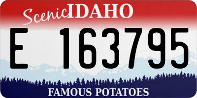 ID license plate E163795