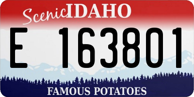 ID license plate E163801