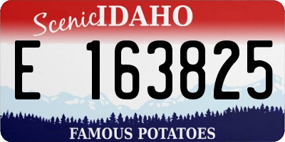 ID license plate E163825