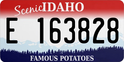 ID license plate E163828