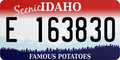 ID license plate E163830