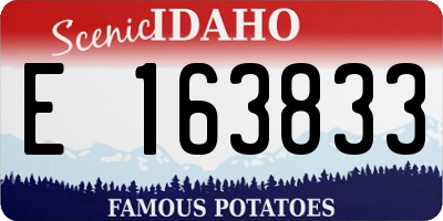 ID license plate E163833