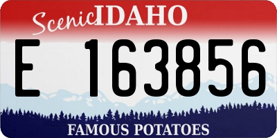 ID license plate E163856