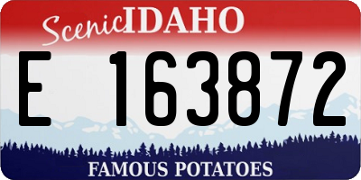 ID license plate E163872