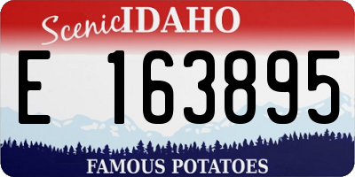 ID license plate E163895