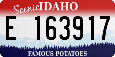 ID license plate E163917