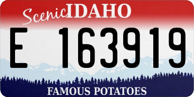 ID license plate E163919