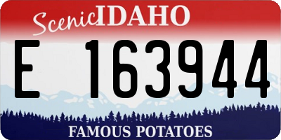 ID license plate E163944