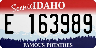 ID license plate E163989