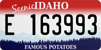 ID license plate E163993