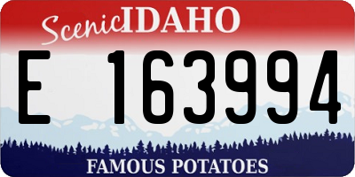 ID license plate E163994