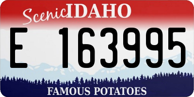 ID license plate E163995