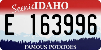 ID license plate E163996