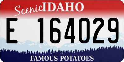 ID license plate E164029