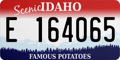 ID license plate E164065