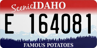 ID license plate E164081