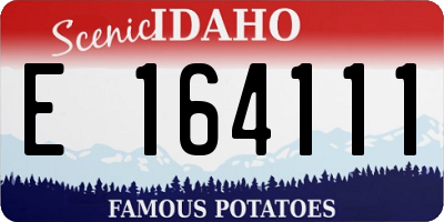 ID license plate E164111