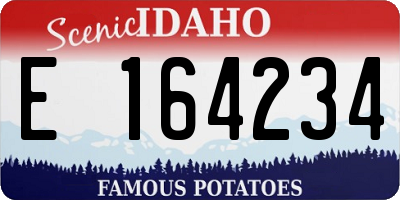ID license plate E164234