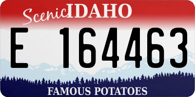 ID license plate E164463