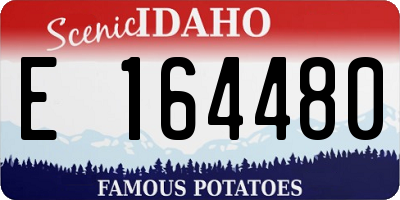 ID license plate E164480