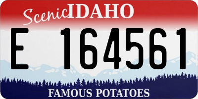 ID license plate E164561