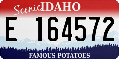 ID license plate E164572