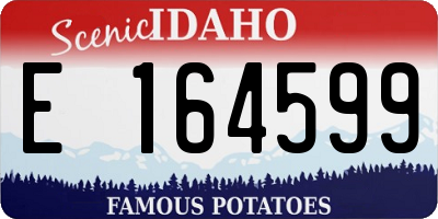 ID license plate E164599
