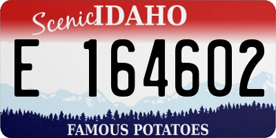 ID license plate E164602