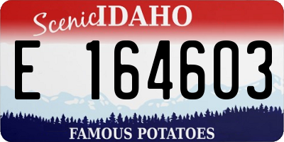 ID license plate E164603
