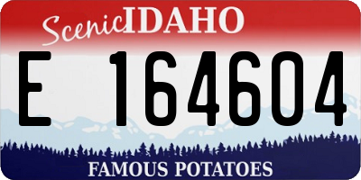 ID license plate E164604