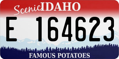 ID license plate E164623