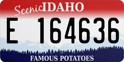 ID license plate E164636