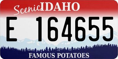 ID license plate E164655