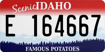 ID license plate E164667