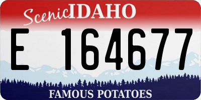 ID license plate E164677